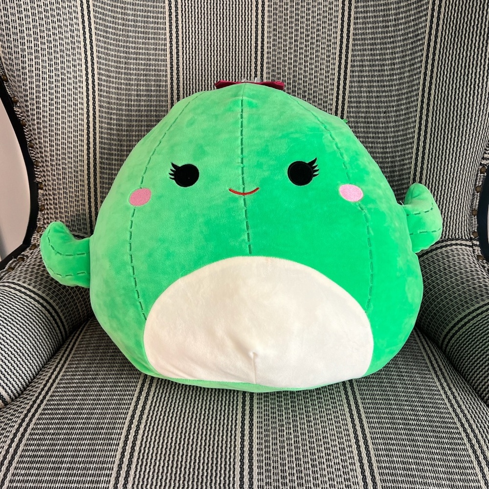 17” Squishmallow Cactus Maritza